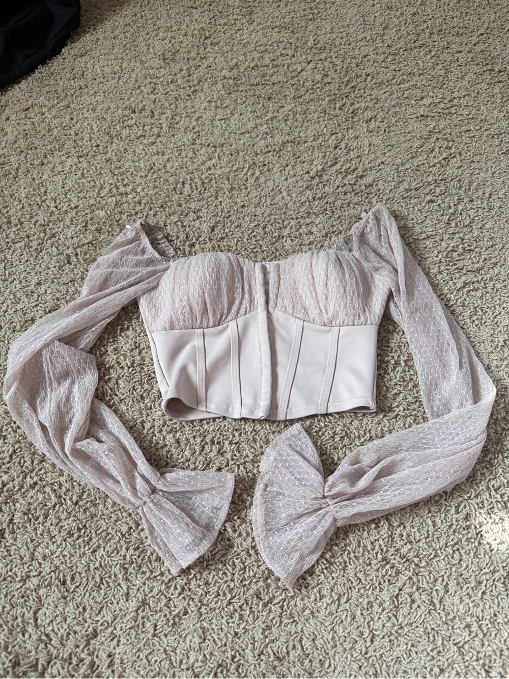 Windsor Light Blush Off-Shoulder Sheer Sleeve Corset Crop Top Small